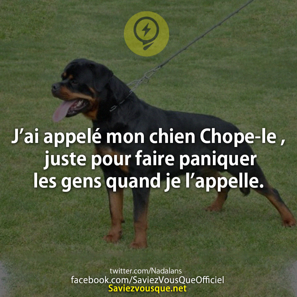 J’ai appelé mon chien Chope-le , juste pour faire paniquer J’ai appelé mon chien Chope-le , juste pour faire paniquer